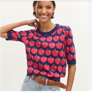 Anthropologie Blue and Red Apple Sweater